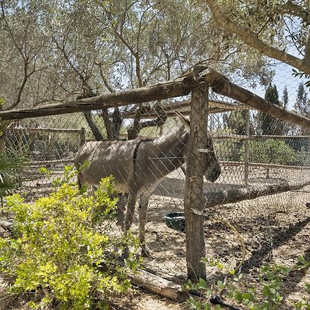 Cambiardeaires Rural Piedra Villa Пилар де ла Орадада Екстериор снимка