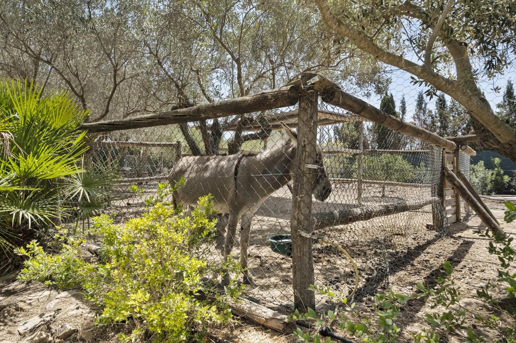 Cambiardeaires Rural Piedra Villa Пилар де ла Орадада Екстериор снимка